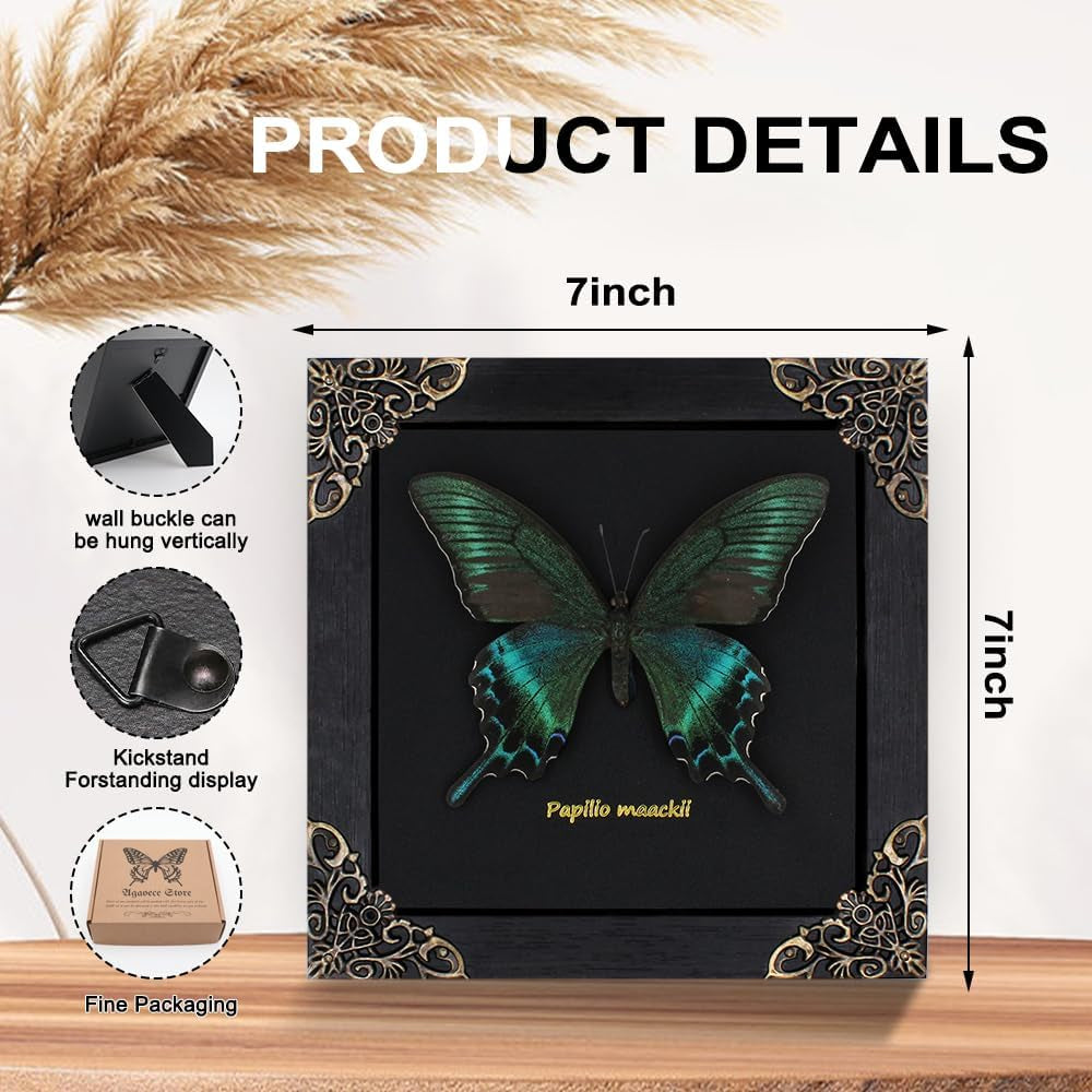 Butterfly Framed Decoration Handmade Taxidermy Butterfly Shadow Box Collection Framed Butterfly for Oddities and Curiosities Gifts for Victorian Dark Academia Goth Wall Decor