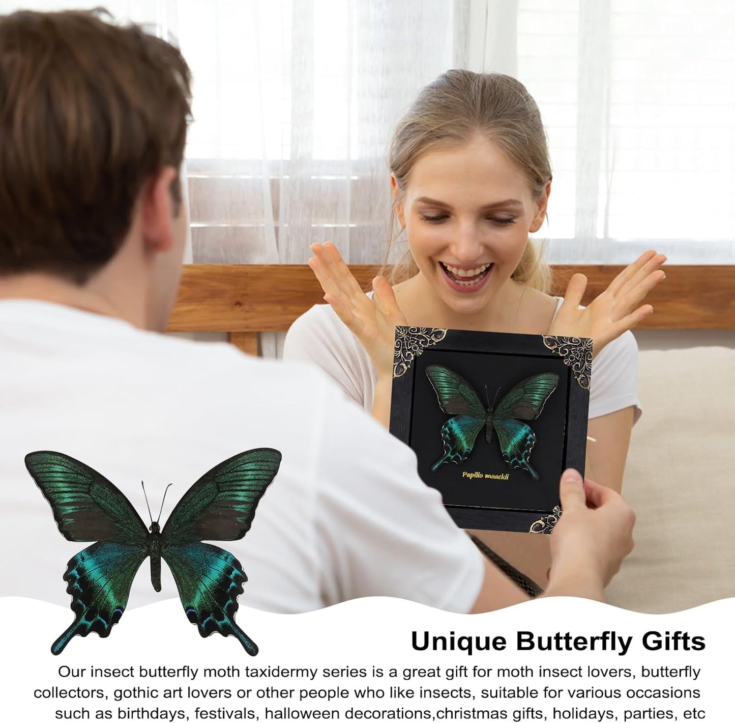 Butterfly Framed Decoration Handmade Taxidermy Butterfly Shadow Box Collection Framed Butterfly for Oddities and Curiosities Gifts for Victorian Dark Academia Goth Wall Decor